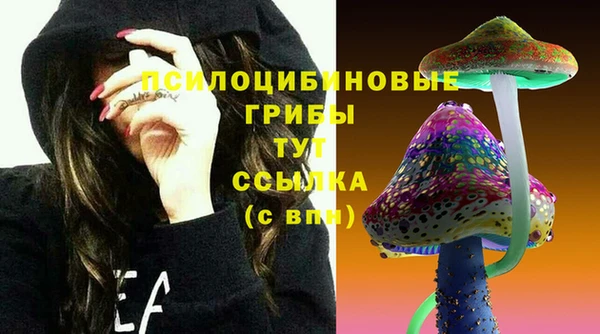 apvp Волосово
