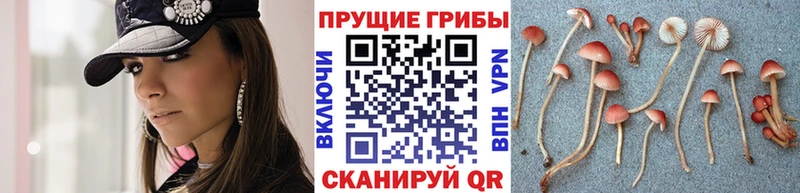 Псилоцибиновые грибы мухоморы  Вязьма 