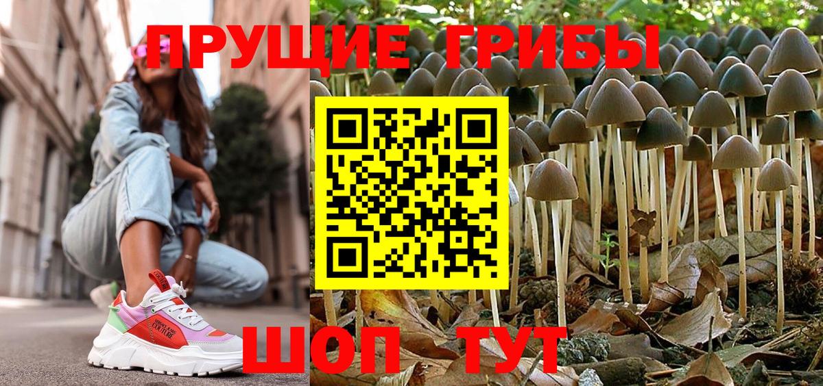 Псилоцибиновые грибы MAGIC MUSHROOMS Вязьма