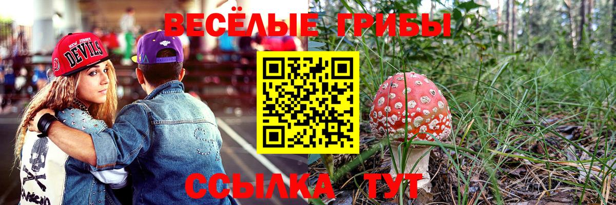 закладка  Вход с VPN  Псилоцибиновые грибы прущие грибы  Вязьма  Галлюциногенные грибы Magic Shrooms 